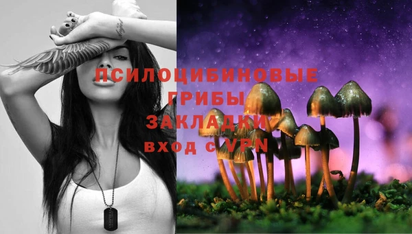 мдпв Балабаново
