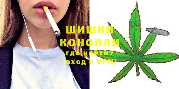 прущие грибы Михайлов